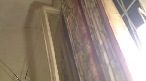 Чому я не сокіл, чому не літаю...