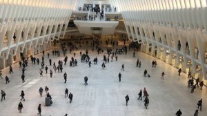 Качество воздуха под контролем. Измеритель качества воздуха ИКВ-8 (термогигрометр и газоанализатор)