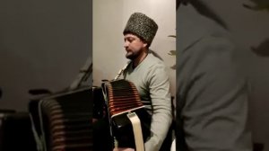 Песня "Стояла Чудная Сосна.." Игра  на гармони.