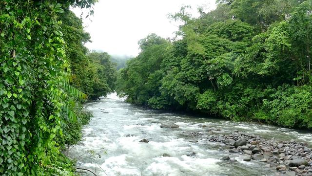 Тибетская лечебная флейта • высвобождает мелатонин и токсины • снимает стресс и успокаивает ум смотреть онлайн
