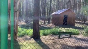 Орловское Полесье Поездка в выходной