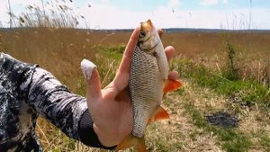 Рыбалка в рыбном краю! Темрюкский район. 22.04.2022.