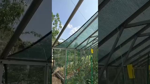 138. Погодные капризы