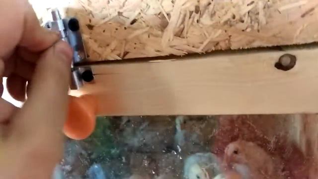 Брудер для цыплят своими руками с чертежами в описании / Как сделать брудер смотреть онлайн