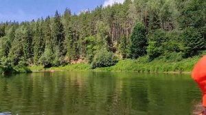 Плюсса Псковская область