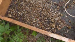 Поиск самоцветов в отвале