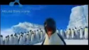 Adiga pinguins.3gp
