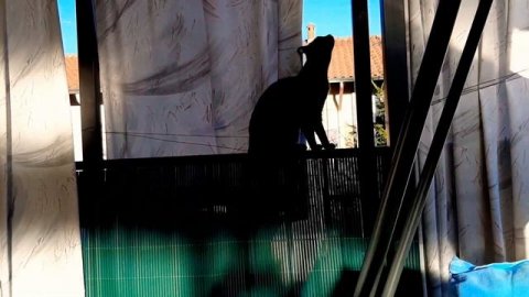 4 РЕЦЕПТА Итальянской пасты/диета Италии/простые и полезные блюда из макарон/Olga e Fabio ITALY