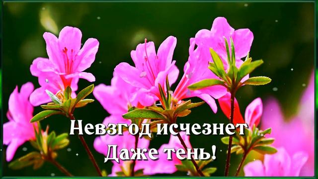 Желаю тебе Хорошего Весеннего Настроения!