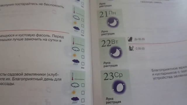 ЗАПРЕЩЕННЫЕ ДНИ МАЯ ПО ЛУННОМУ КАЛЕНДАРЮ. Ольга Чернова. смотреть онлайн