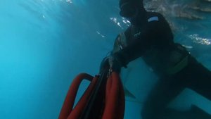 Обзор ружья-арбалета MVD ZESO INVERT ROLLER