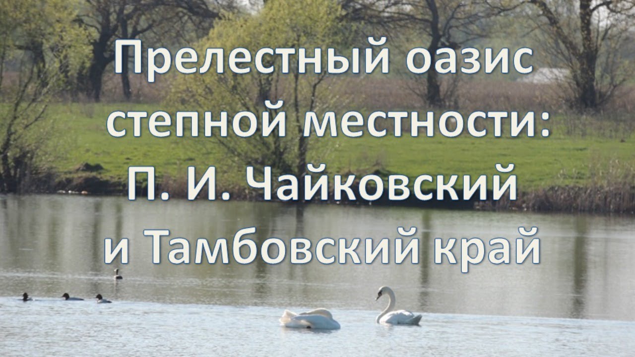 Виртуальная экскурсия «Прелестный оазис степной местности»  П. И. Чайковский и Тамбовский край