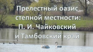 Виртуальная экскурсия «Прелестный оазис степной местности»  П. И. Чайковский и Тамбовский край