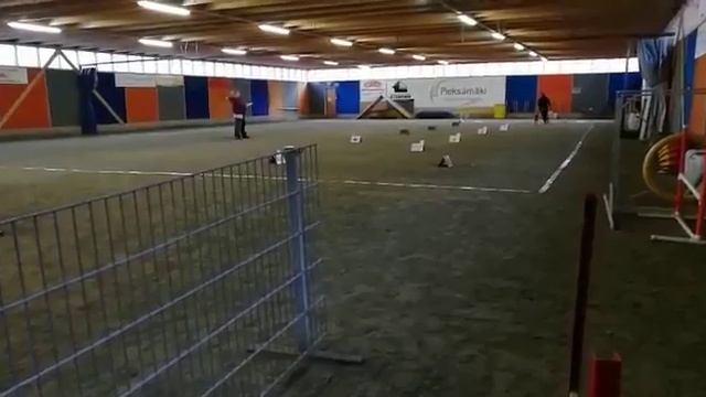 Rally Novice class Pieksamaki 22.9.2018 Ami 98/100 points смотреть онлайн