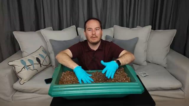 Let's Grow Geraniums from Seed Together (plus my seed starting mix) смотреть онлайн