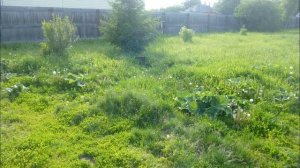 Не копать! Землю в огороде, на участке, на даче. Это вредно!