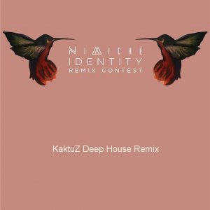 Nimiche - Identity (KaktuZ RemiX)