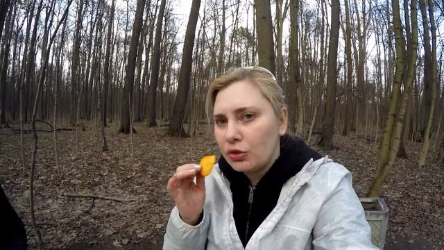 ЕДИМ из ФИКСПРАЙС ПЬЕМ из ФЛЯЖКИ ПИКНИК на ЛАВКЕ смотреть онлайн