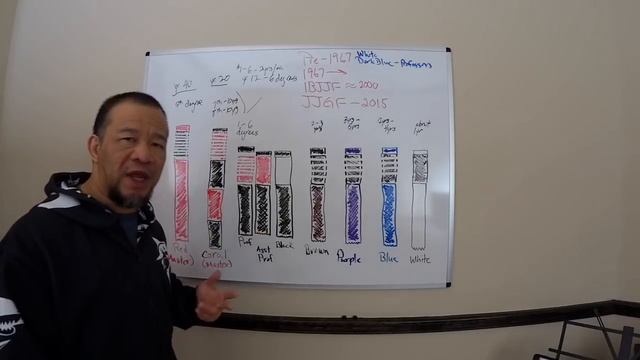 Jiu-Jitsu BJJ Belts Explained смотреть онлайн