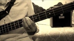I JUST CALLED TO SAY I LOVE YOU - Stevie Wonder (COVER BAJO)