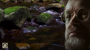 Terence McKenna - Human And Plants Are Connected