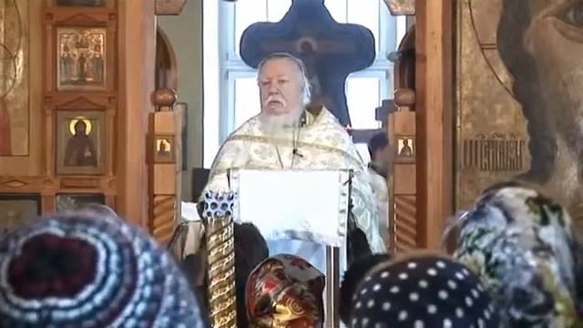 Предпразднство БОГОЯВЛЕНИЯ!!!Священник Димитрий Смирнов.