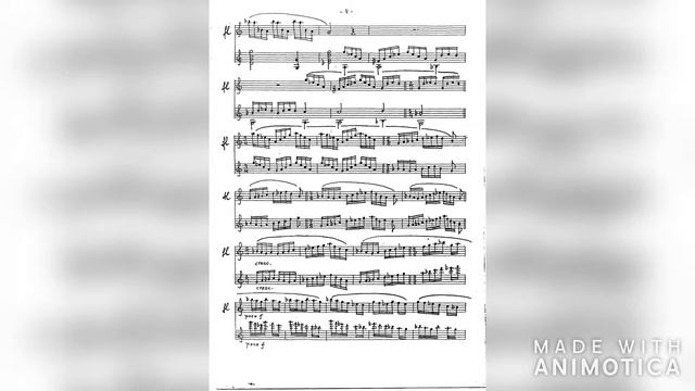 Erkki Salmenhaara Sonatina for flute and guitar Movement 1 Andante смотреть онлайн