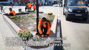 В Солнечногорске оформляют клумбы ко Дню Победы
