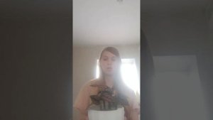 калатея и лечуза пон