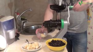 Черничный сорбет на ручной соковыжималке Tribest Z-star 710