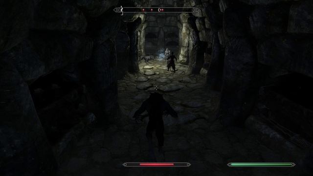 Каджит решил вступить  в стражу рассвета