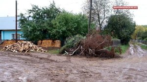 Нам нужен кнут