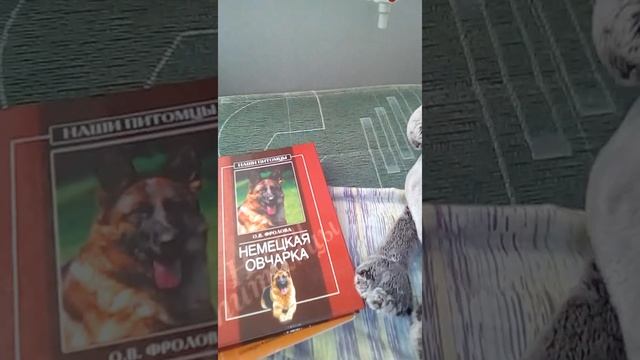 Читаем книжки вместе с Басиком. смотреть онлайн