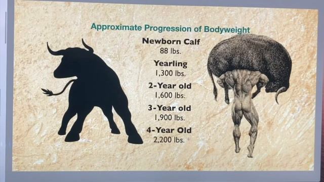 Toughest Man Lifestyle: Part 1 of 2 смотреть онлайн