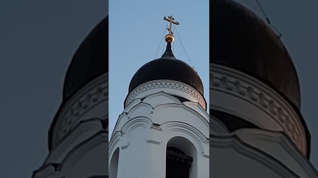 Чайки на кресте!Собор Архангела Михаила!Город Ломоносов!🕊☀️🌠🕊🌞🕊