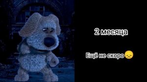 До лета осталось: