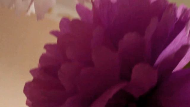 Идея оформления детского праздника. Дети в восторге!!! Aljonka K-va смотреть онлайн