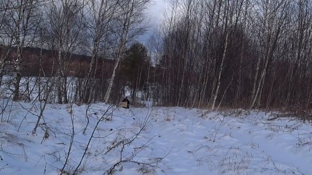 Продолжение обзора мотобуксировщика CHEROKKE. По ровной дороге и под горку едет отлично.! смотреть онлайн