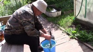 Подкармливаем томаты сульфатом магния и мочевиной.