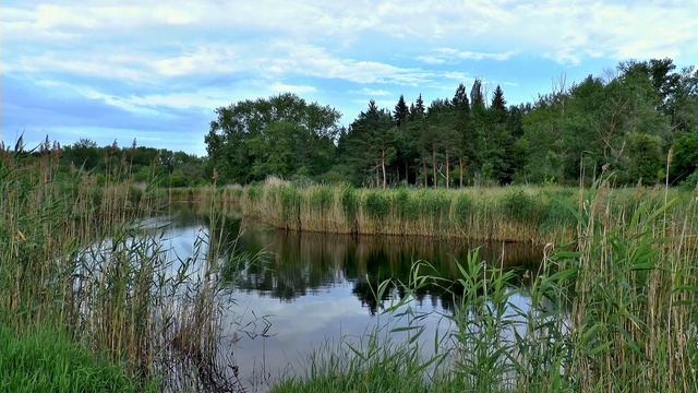 На что клюет карась весной? На что ловить карася весной? смотреть онлайн