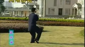 Тайцзицюань 48 форма