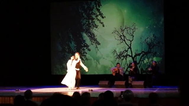 Шоу фламенко. КВЦ Губернский. Кострома смотреть онлайн