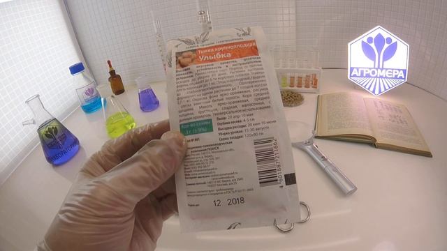 Тыква Улыбка. Поиск смотреть онлайн