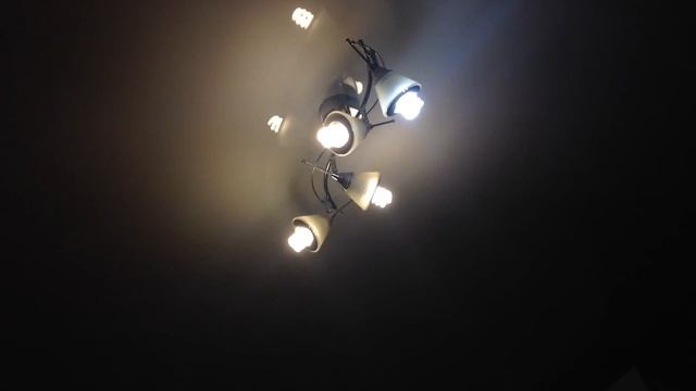 Обзор на домашнего мотылька смотреть онлайн