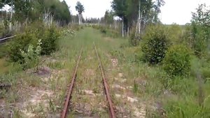 Мезиновская УЖД