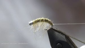 Мерзкий, но вкусный Рачек Gammarus, Бокоплав. Обмен Опытом