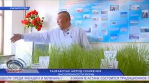 РАЗАБОТАН МЕТОД СНИЖЕНИЯ ЗАСОЛЕННОСТИ ПОЧВ