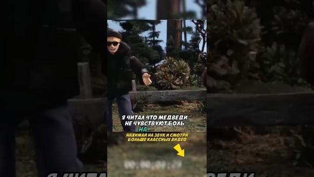 Он любит медведей, но не ожидает такого поворота! ? #вотэтоповорот #робоцып #приколы #мемы смотреть онлайн