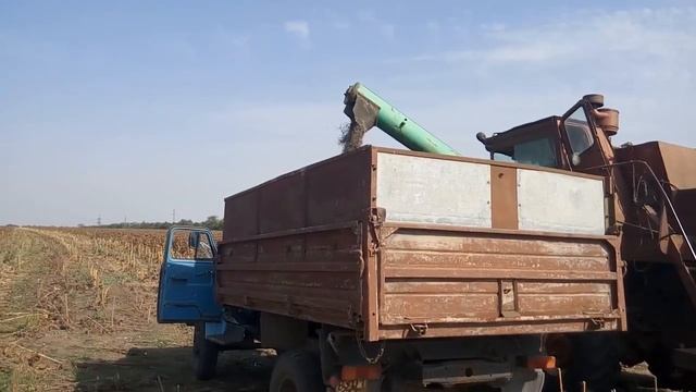 02.09.18 Уборка подсолнечника МАС 80 IR или Южный ПОПАНДОС смотреть онлайн