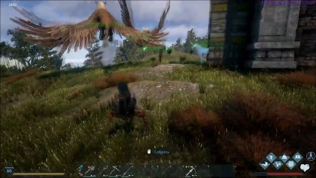 Dark and Light - Ловим грифона №19 смотреть онлайн